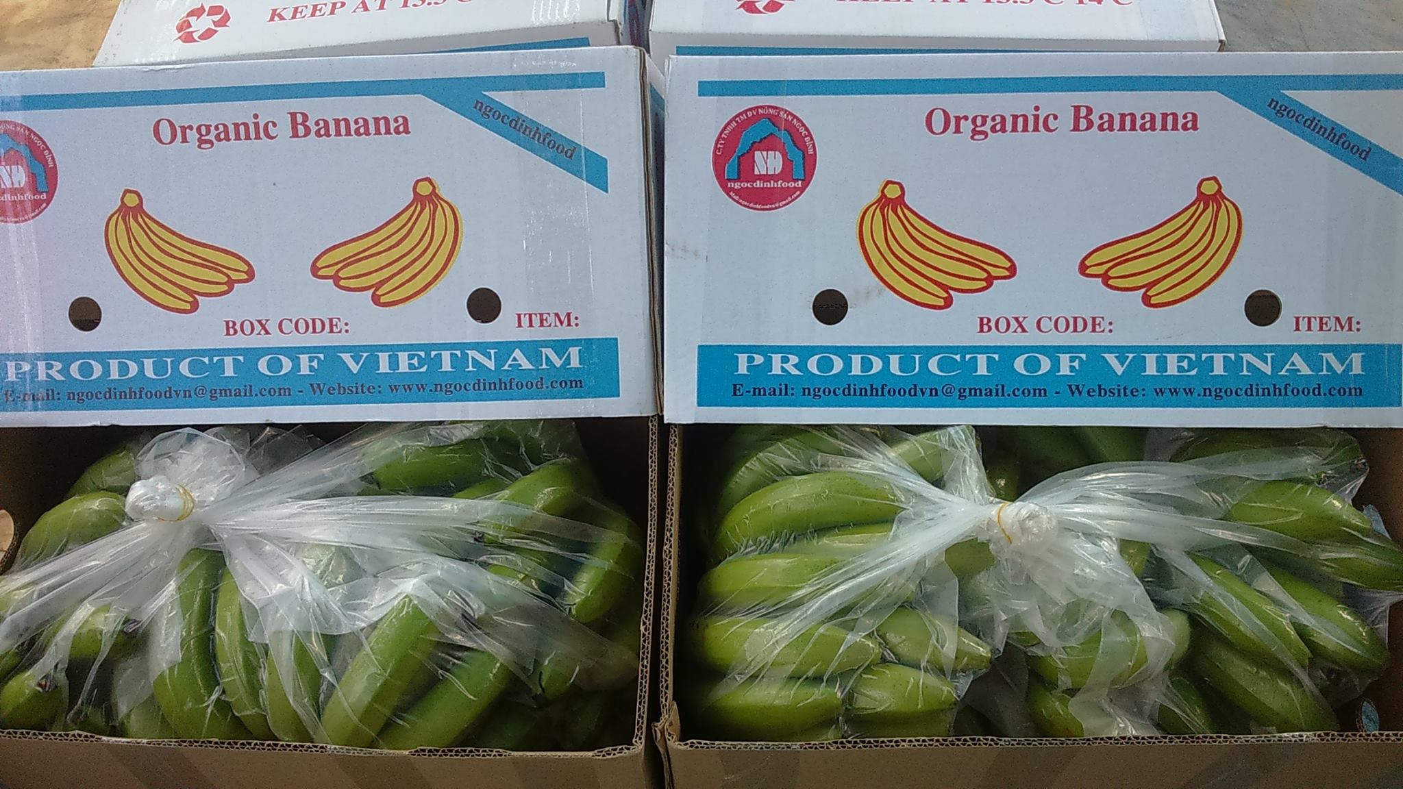 exporter Fruits & Vegetables from